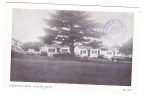 CPA - AUBURN - Pineland Cabins - Washington Street - Cars Voitures - Auburn