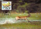 BOSTAWANA     WWF CARTE MAXIMUM NUM.YVERT 582  PROTECTION DE LA NATURE  ANTILOPE ROUGE - Cartoline Maximum