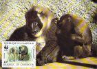 CAMEROUN    WWF CARTE MAXIMUM NUM.YVERT  823  PROTECTION DE LA NATURE SINGE BABOUIN - Cartoline Maximum