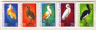 BULGARIA / Bulgarie   BIRDS - EXPO 81   5 V.-MNH** Neuf - Collections, Lots & Series