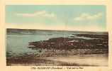 Finistere - Ref C219- Plozevet - Vue Sur La Mer   - Carte Bon Etat - - Plozevet