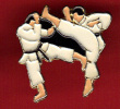 15040-karate...judo.arts Martiaux. - Judo
