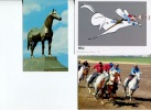 (868) - Hippisme - Horse Racing - Kyrgystan - Man-o-war Racing Horse + 1 Cartoon - Horse Show