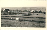 Houdemont - Panorama Du Village - Habay