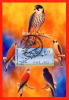 ISRAEL (2009) - Carte Maximum Card - ATM AMIEL - Birds Of Israel / Oiseaux Israel - Birds Of Prey - Maximum Cards