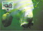 VANUATU   WWF CARTE MAXIMUM NUM.YVERT  799  PROTECTION DE LA NATURE FAUNE DUGONG - Cartoline Maximum