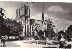 NOTRE DAME Vue Du Square Charlemagne - Ile-de-France