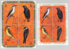 1971 REPUBLIQUE DU BURUNDI - OISEAUX N. 6 Feuilles De Timbres (rif.Max) - Unused Stamps