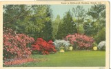 USA – United States – Scene In Bellingrath Gardens, Mobile, Ala, Unused Postcard [P6147] - Mobile