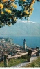 B31722 Ascona Lago Maggiore Primavera Con Mimosa Used Perfect Shape - Ascona