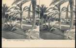 La Cote D´Azur --- Nice --- Casino Municipal - Stereoscope Cards