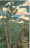 USA – United States – Summit Of Salt Creek Canyon In Scenic Oregon, Unused Linen Postcard [P6174] - Andere & Zonder Classificatie