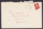 Norway Deluxe BRASKEREIDFOSS 1960 Cover To VIBORG Denmark - Lettres & Documents