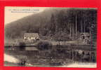 BRUYERES EN VOSGES - Maison Forestière Et Etang Des Huttes - Bruyeres