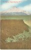 USA – United States – Mt. Jefferson, Oregon, On The Oregon Trunk Ry. Early 1900s Unused Postcard [P6216] - Altri & Non Classificati