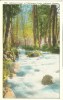 USA – United States – Ashland Creek In Chatauqua Park, Ashland, Oregon, Early 1900s Unused Postcard [P6317] - Andere & Zonder Classificatie