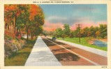 USA – United States – US Highway No. 11 Near Roanoke, VA, 1945 Used Postcard [P6365] - Autres & Non Classés