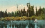 USA – United States – On The Willamette River, Oregon, Early 1900s Unused Postcard [P6371] - Altri & Non Classificati