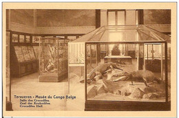 TERVUEREN-MUSEE DU CONGO BELGE-SALLE DES CROCODILES - Sonstige & Ohne Zuordnung