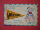 Nebraska > Grand Island   Greetings From Felt Pennent   1916 Cancel       ==   == Ref 273 - Grand Island