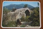 CPSM PONT GENOIS DE SPIN'A CAVLLU   AUX ENVIRONS DE SARTENE  CORSE  A CHEVAL SUR  ANES - Sartene