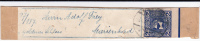 AUTRICHE - 1908-10  - TIMBRE Avec BORD DE FEUILLE Sur BANDE JOURNAL Pour MARIENBAD (BOHEME) - Newspapers