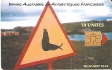 TARJETA DE TAAF ATTENTION ELEPHANT DE MER 50U TIRAGE 1500 - TAAF - Terres Australes Antarctiques Françaises