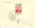 N°248 JOURNEE DU TIMBRE  ALGER       Le      29 JUIN 1946 - Cartas & Documentos