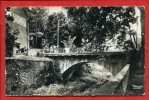 * GREOUX Les BAINS-Pont Du Paradis(Voyagée,manque Le Timbre) - Gréoux-les-Bains