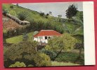 SAINT BARTHELEMY - Maison Avec Linge - Peinture De Margot Ferra Doniger .Affranchie1982 - Saint Barthelemy