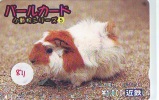 Télécarte Japon * LAPIN (811) RABBIT  * PHONECARD JAPAN * KANINCHEN * KONIJN * CONEJO * - Lapins