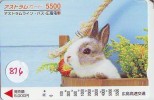 Télécarte Japon * LAPIN (816) RABBIT  * PHONECARD JAPAN * KANINCHEN * KONIJN * CONEJO * - Conigli