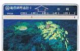 TAIWAN - CHUNGHWA TELECOM (L&G) - 1995  D5028 VITA MARINA (SEA LIFE: FISHES)    (CODE 507G)  - USED °  -  RIF. 4707 - Poissons