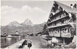 Cpsm. Pf. Treib Am Vierwaldstattersee. Mythen. 3995 - Wald