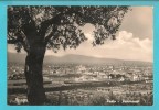 PRATO PANORAMA CARTOLINA FORMATO GRANDE VIAGGIATA NEL 1961 - Prato