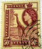 Kenya 1954 Giraffe 50c - Used - Kenya, Uganda & Tanganyika