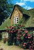 Nordsee Insel Fohr  Friesenhaus - Föhr