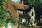 Nordsee Insel Fohr  Altes Friesenhaus - Föhr