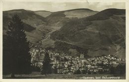 AK Todtnau Schwarzwald Ortsansicht 1931 #01 - Todtnau