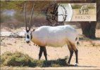 ISRAEL (2011) - Tarjeta Máxima / Maximum Card ATM - Oryx Leucoryx, Arabian Oryx, White Oryx, Orice De Arabia - Tarjetas – Máxima