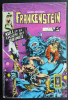 PETIT FORMAT FRANKENSTEIN 19 AREDIT - Frankenstein
