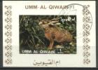 Umm Al Quiwain - Gestempelt / Used (g557) - Conigli