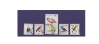 G196. Lesser Flamingo / Birds / Aves / Oiseaux / Kenya / Spreo Superbus - Collections, Lots & Séries