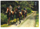 Hippisme / Cheval: Promenade Equestre , Vers CHAUMONT, Haute-Marne; 1977; B/TB - Paardensport