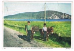 EIRE46  ACHILL ISLAND : Going For Turf - Mayo