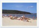 Chantonnay.  Plage Du Lac. - Chantonnay