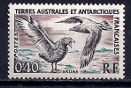 TAAF - Skuas YT 13 ** - Unused Stamps