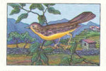 Image / La Voix De Nos Oiseaux / Le Pouillot Véloce - La Ficedula - Zilpzalp / ( Oiseau Bird) / IM 26-K7/3 - Nestlé