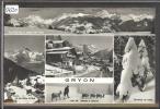 DISTRICT D´AIGLE ///  GRYON -  TB - Gryon