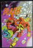 PETIT FORMAT FLASH  49 AREDIT (2) - Flash